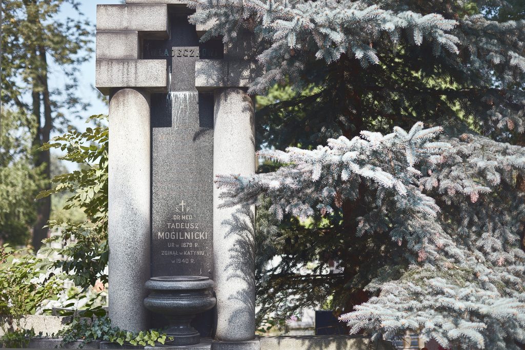 Pomnik nagrobny Tadeusza Mogilnickiego, fot. P. Augustyniak.